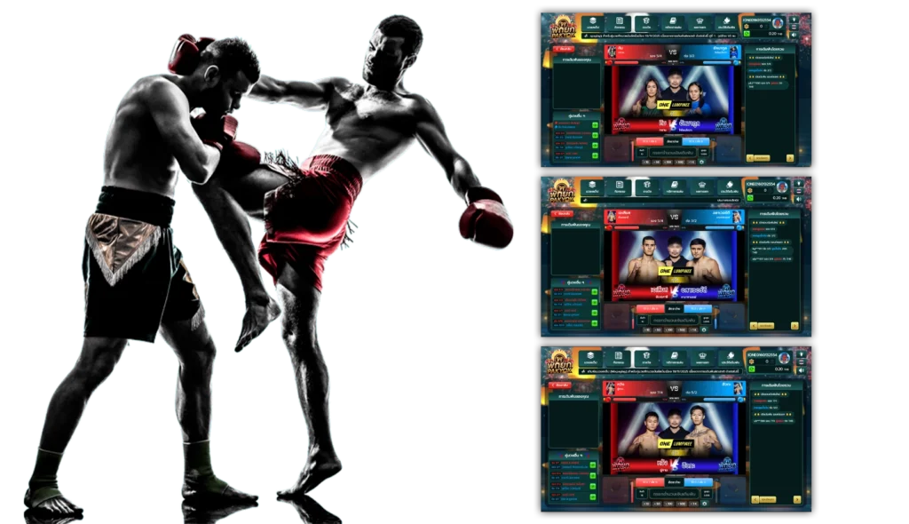 มวยพักยกtiger