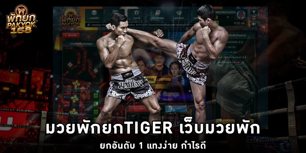 มวยพักยกtiger