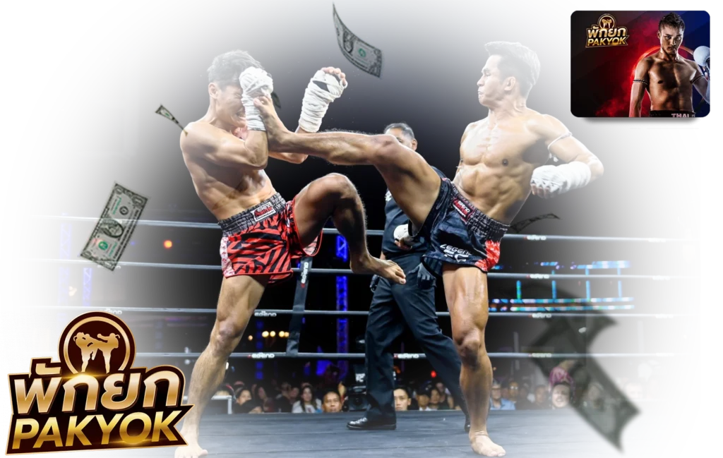 มวยพักยก UFA289