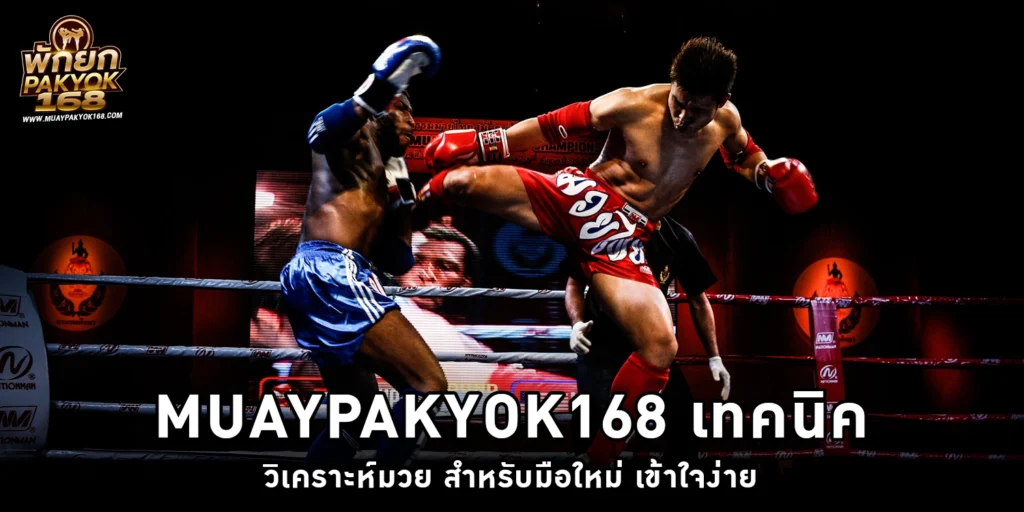 เทคนิควิเคราะห์มวย